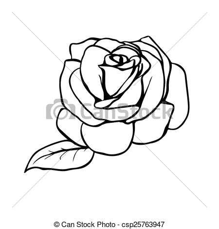 450x470 Rose Sketch. Black Outline On White Background. Vector... Eps - Rose Sketch Outline
