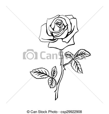 450x470 Rose Sketch. Black Outline On White Background. Vector... Vector - Rose Sketch Outline