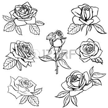 350x350 White Rose Set Rose Sketch. Black Outline On White Background - Rose Sketch Outline