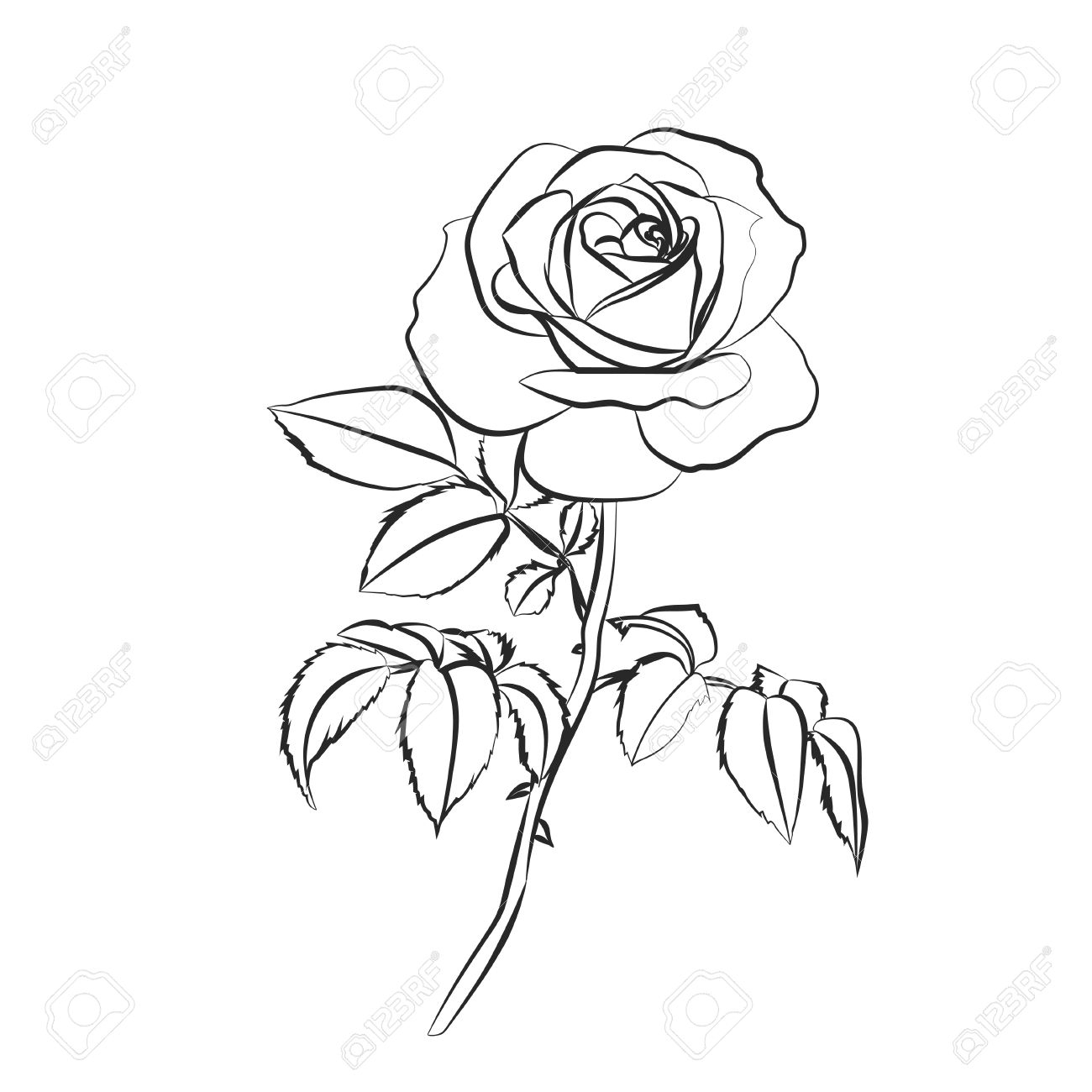 1300x1300 Black And White Rose Sketch Rose Sketch Black Outline On White - Rose Sketch Outline