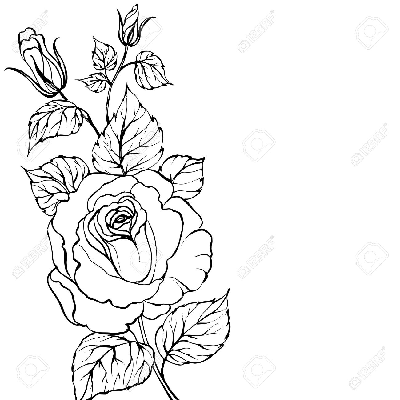 1300x1300 Drawn Rose Rose Blossom - Rose Sketch Outline