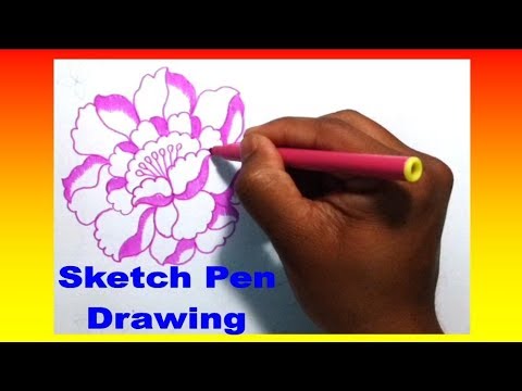 480x360 Flower Drawing With Sketch Pen Rose Jana Art - Rose Sketch Pen