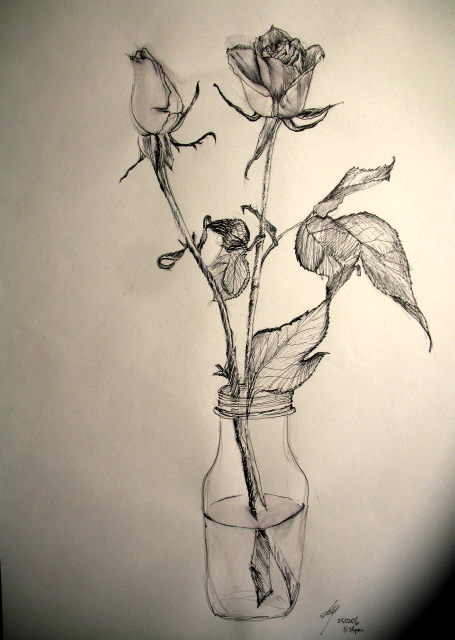455x640 Sketches Of Roses - Rose Sketch Pen
