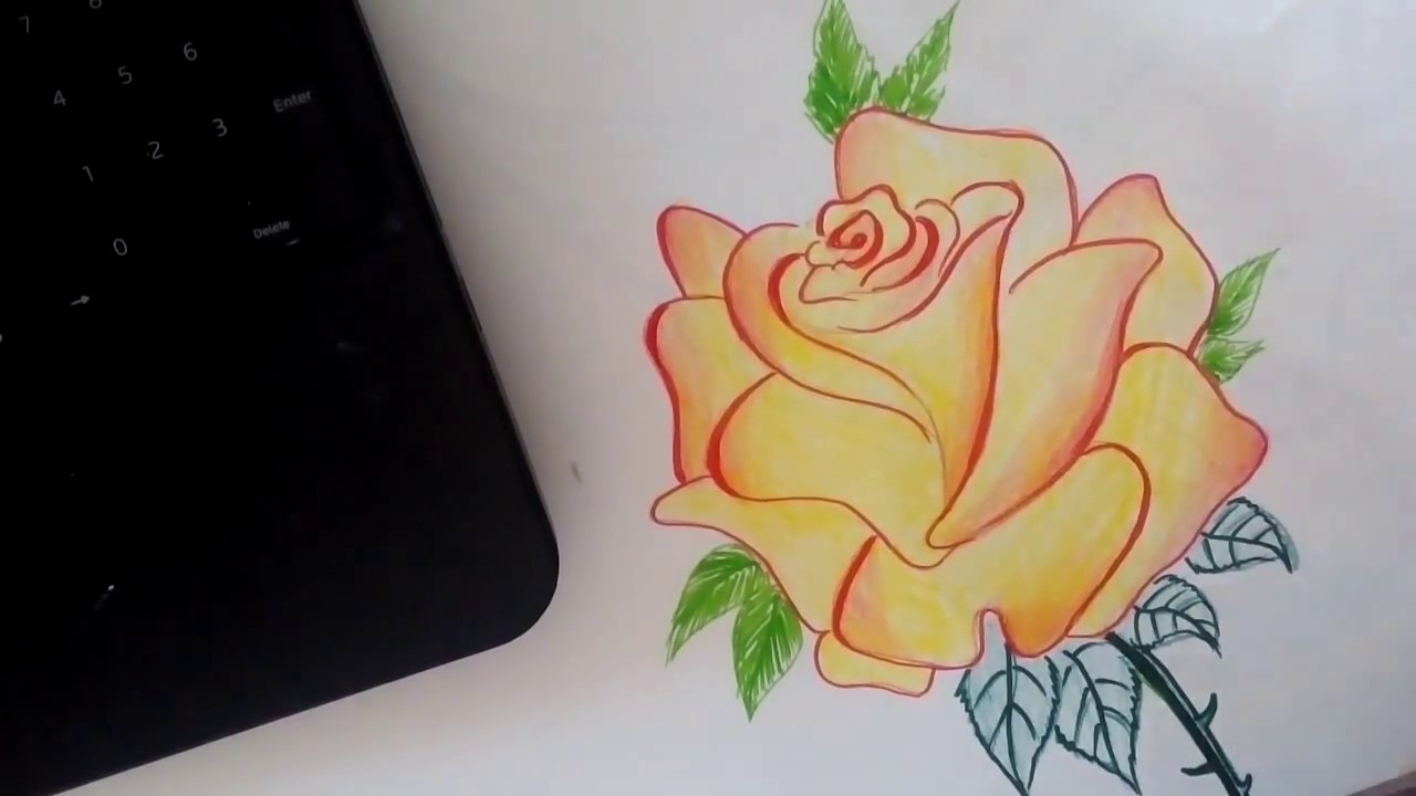 1280x720 How To Draw Rose Step By Step Easily For Kids I Tutorial Sketch - Rose Sketch Pen