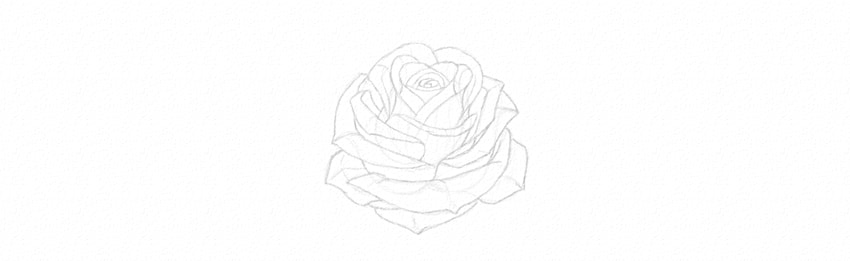 850x261 How To Draw A Rose - Rose Sketch Step By Step