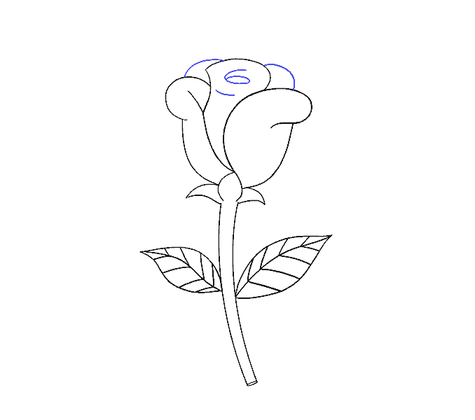 678x600 How To Draw A Simple Rose Easy Drawing Guides - Rose Sketch Step By Step