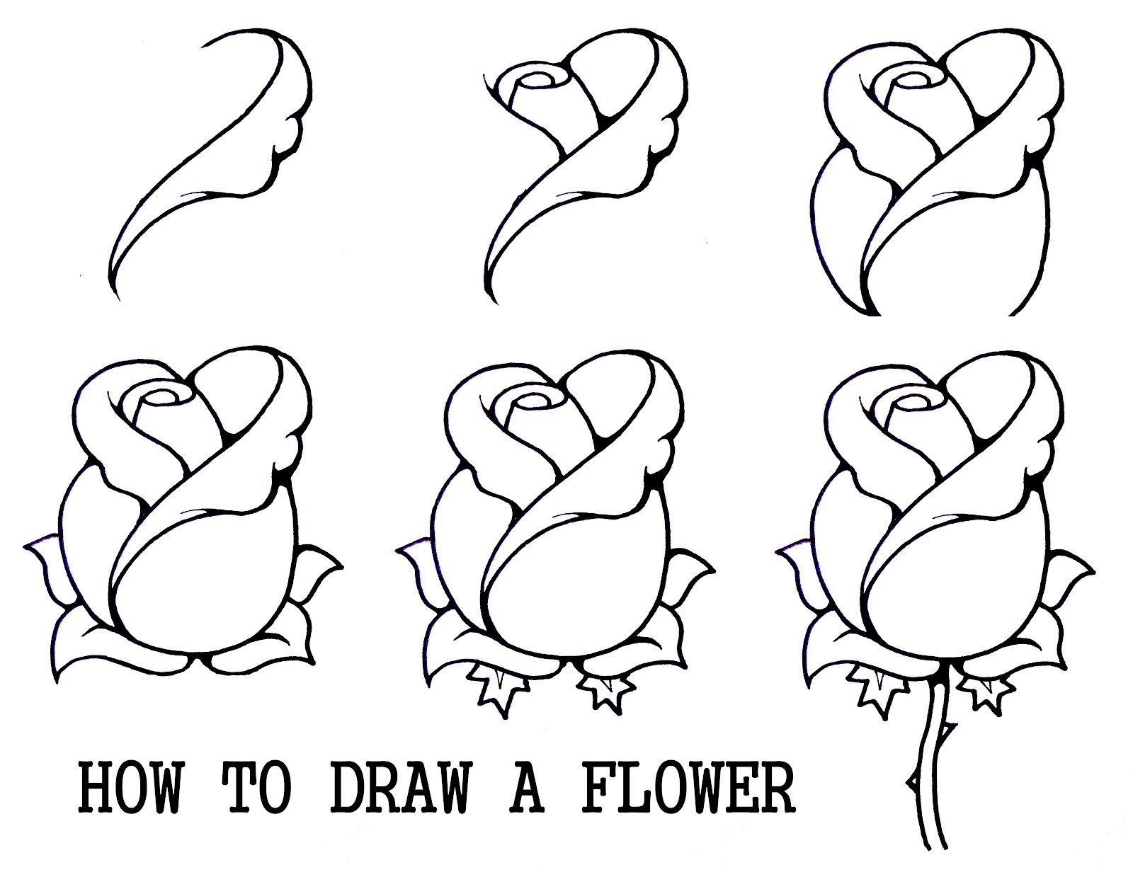 Rose Sketch Step By Step At Paintingvalleycom Explore