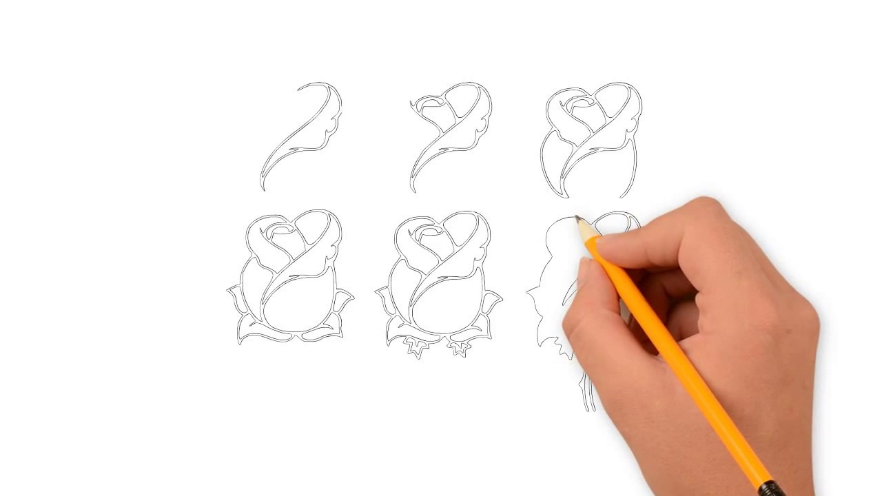 1280x720 Rose Sketch Beginner Rose For Beginners Drawing At Getdrawings - Rose Sketch Step By Step