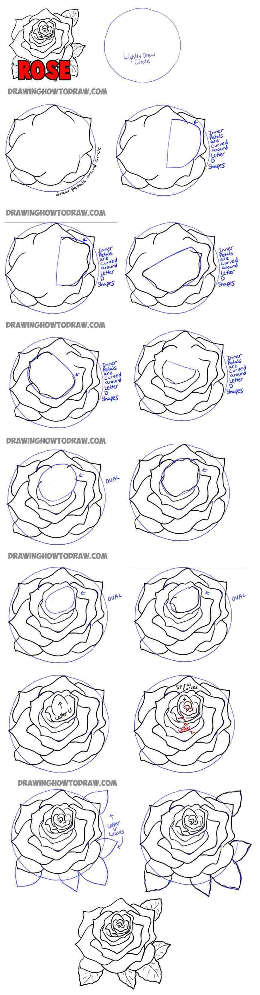 869x3315 Step Easy Complex Rose Drawing Pictures - Rose Sketch Step By Step