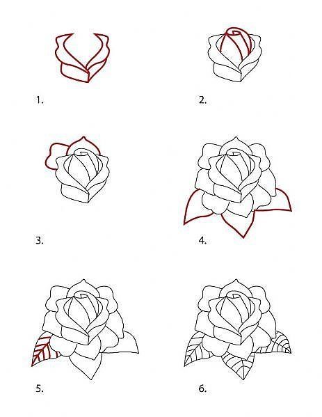 463x599 Roses Drawing Step By Step - Rose Sketch Step By Step