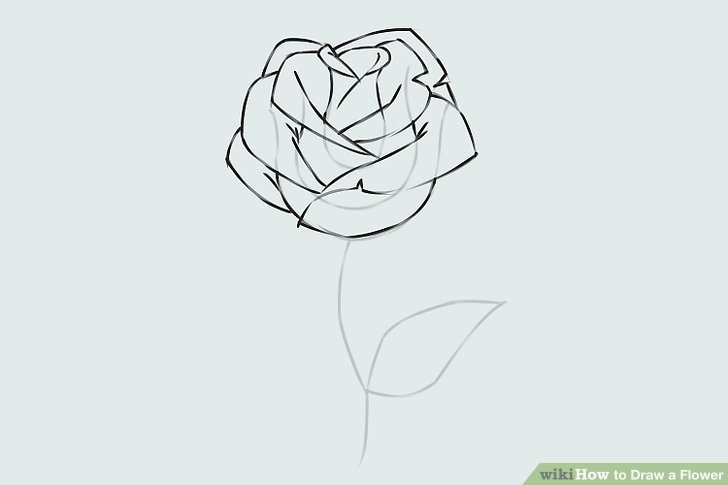 728x485 9 Easy Ways To Draw A Flower - Rose Sketch Step By Step