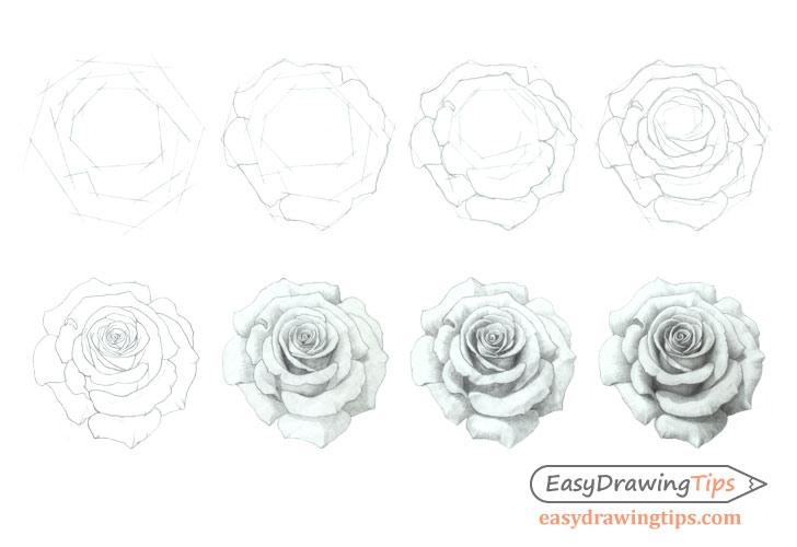 728x500 How To Draw A Rose Step By Step Tutorial - Rose Sketch Tutorial