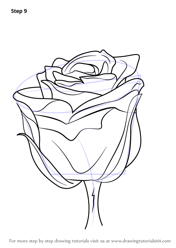 598x844 Learn How To Draw A Rose With Stem (Rose) Step By Step Drawing - Rose Sketch Tutorial