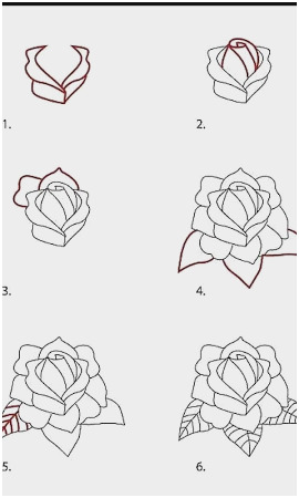 270x450 Pencil Drawing Tutorial Step By Step Good Eye Sketch Tutorial - Rose Sketch Tutorial