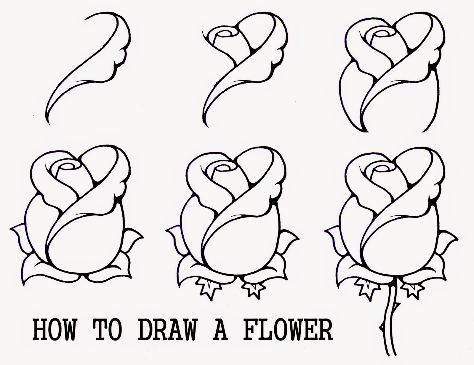 1600x1232 Rose Sketch Tutorial Rose Sketch Photos Stepstep How To Draw A - Rose Sketch Tutorial