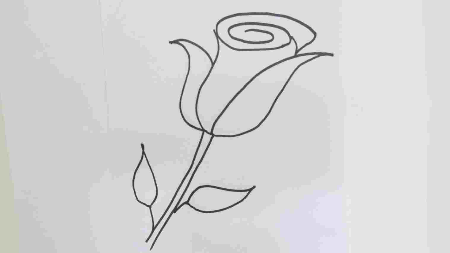 Rose Sketch Tutorial at PaintingValley.com | Explore collection of Rose ...