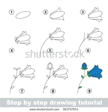 450x470 Step By Step How To Draw A Flower Rose Flower Drawing Step Step - Rose Sketch Tutorial