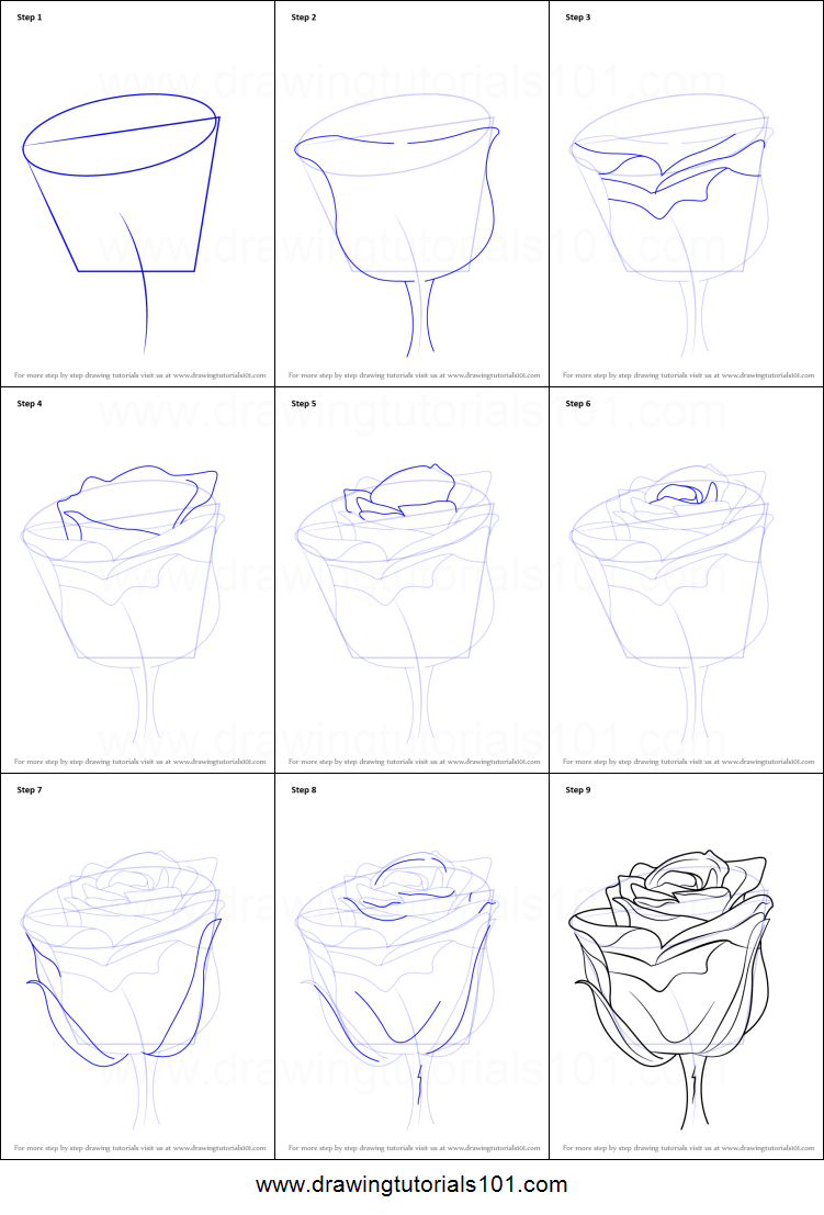 Rose Sketch Tutorial at PaintingValley.com | Explore collection of Rose ...