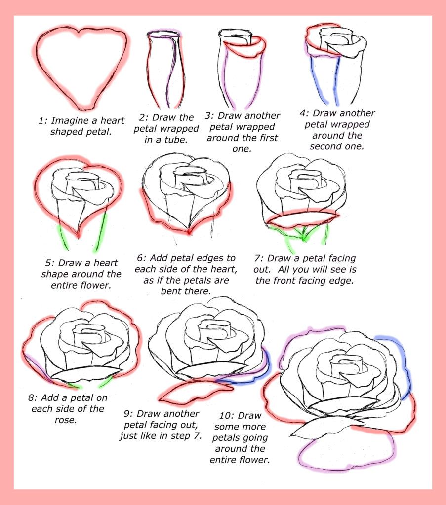 903x1024 How To Draw Roses - Rose Sketch Tutorial