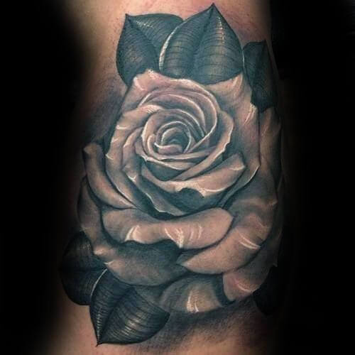 500x500 Top 55 Best Rose Tattoos For Men Improb - Rose Tattoo Sketch