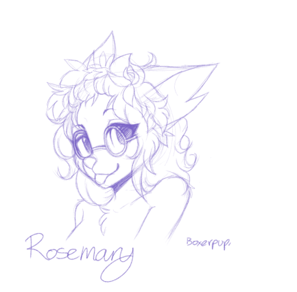 433x426 Rosemary Sketch By Chioro - Rosemary Sketch