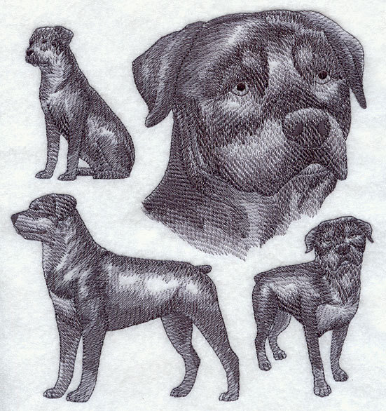 551x586 Rottweiler Sketch Machine Embroidered Quilt Blocks Azeb Etsy - Rottweiler Sketch