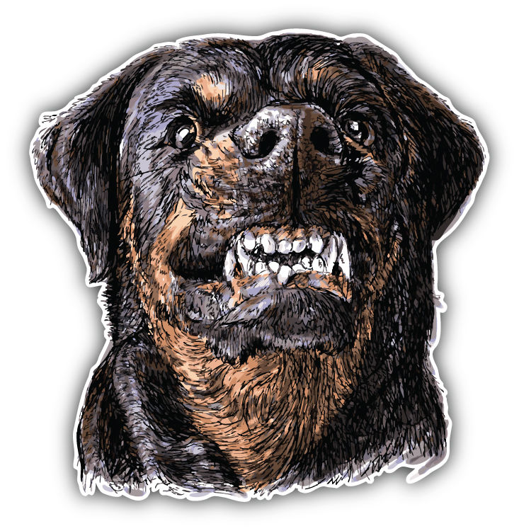 733x750 Angry Rottweiler Head Sketch Car Bumper Sticker Decal 5' X 5 -...