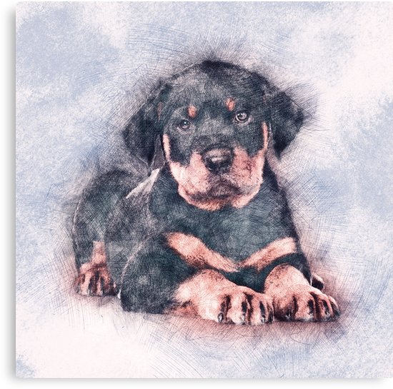 550x545 Rottweiler Puppy Sketch Paint Canvas Prints By K9printart Redbubble - Rottweiler Sketch