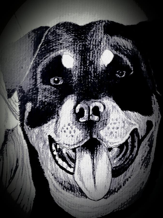 675x900 Rottweiler Sketch Drawing By Laura Hillyer - Rottweiler Sketch