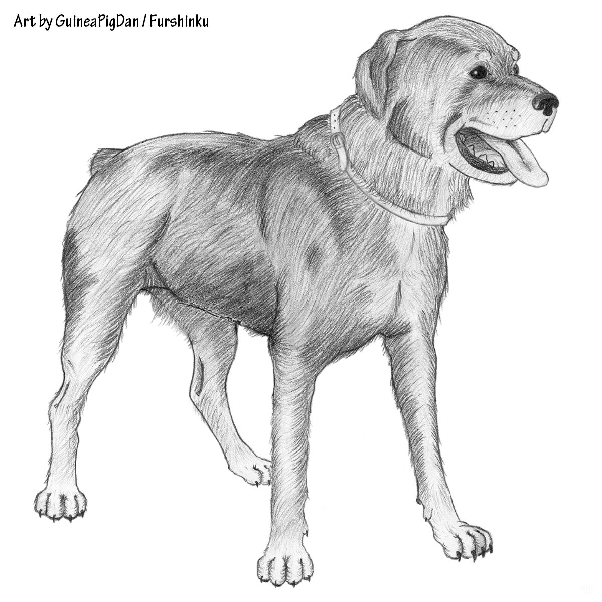1200x1200 Rottweiler Weasyl - Rottweiler Sketch