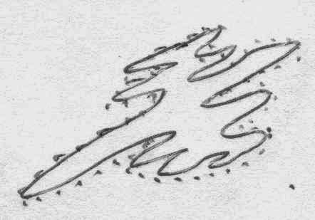 442x309 Organelles, Enzymes And Other Interesting Small Things A Guide To - Rough Er Sketch