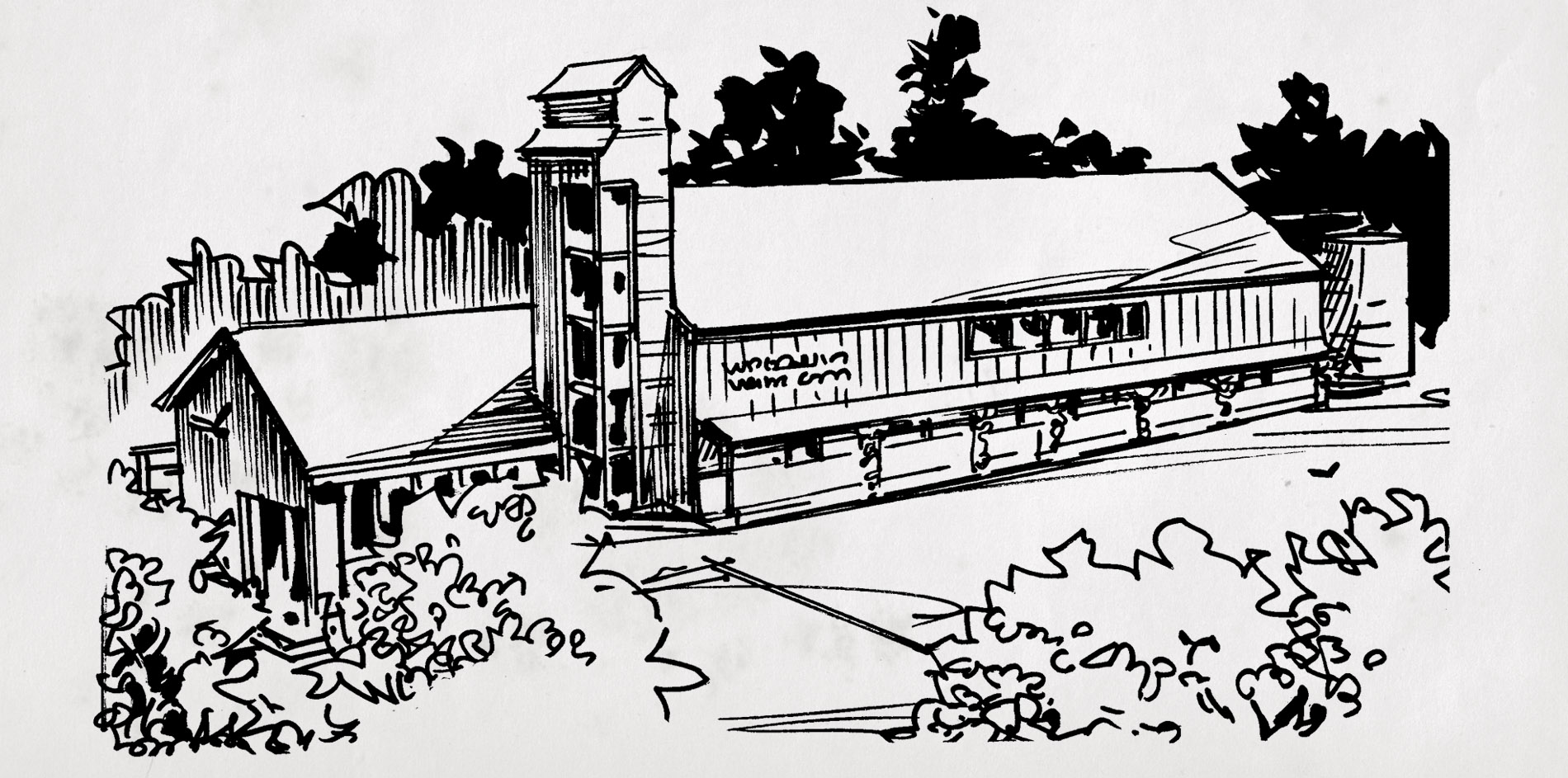 1900x943 Rough Sketch Vs Illustration David Cole Creative - Rough Sketch