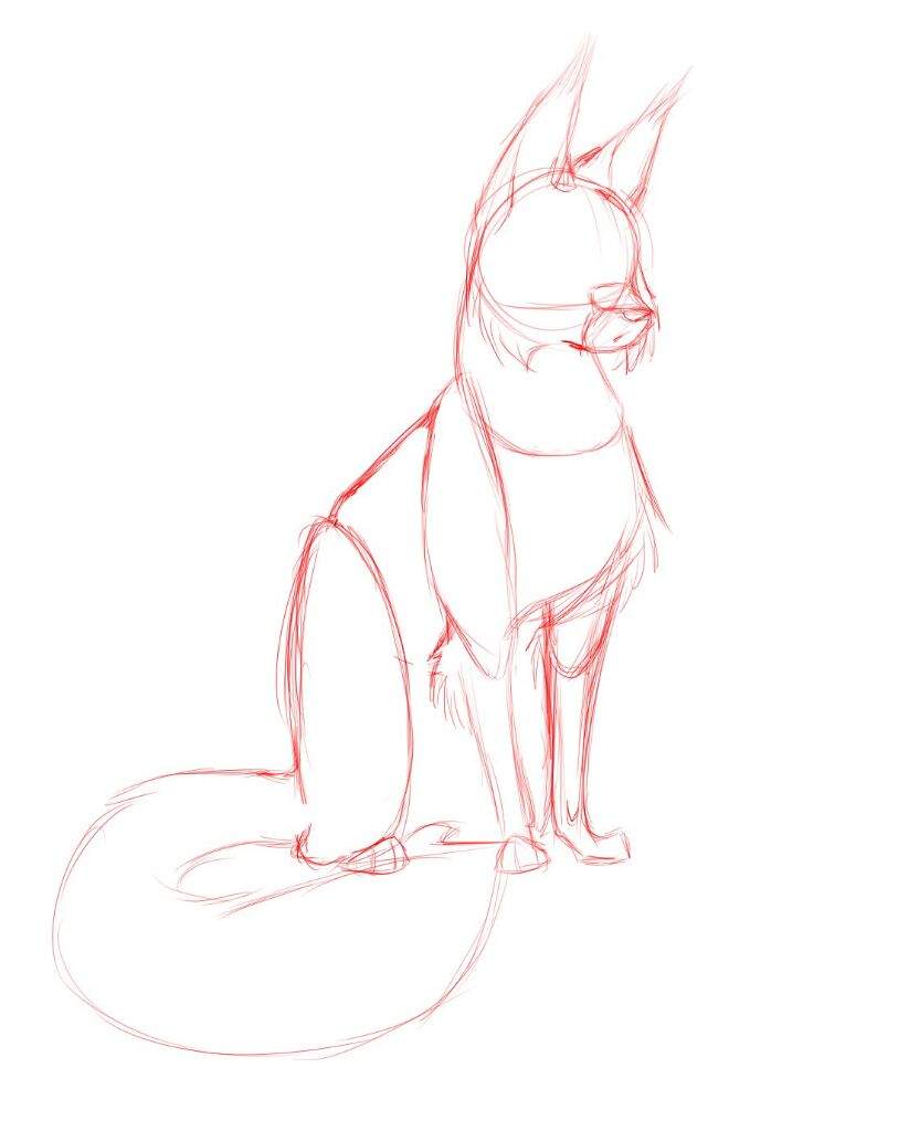 813x1024 Rough Sketch Warrior Cats Amino Amino - Rough Sketch