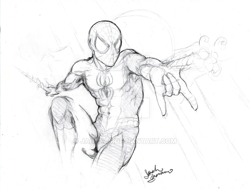 800x607 Spiderman Rough Sketch By Janexas - Rough Sketch