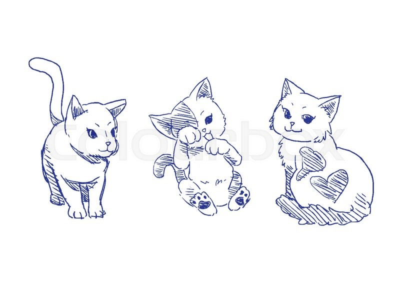 800x566 Cat Pose Drawing A Collection Doodle Rough Sketch Stock Vector - Rough Sketch
