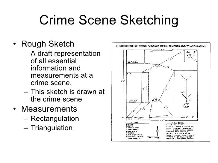 rough-sketch-of-crime-scene-at-paintingvalley-explore-collection