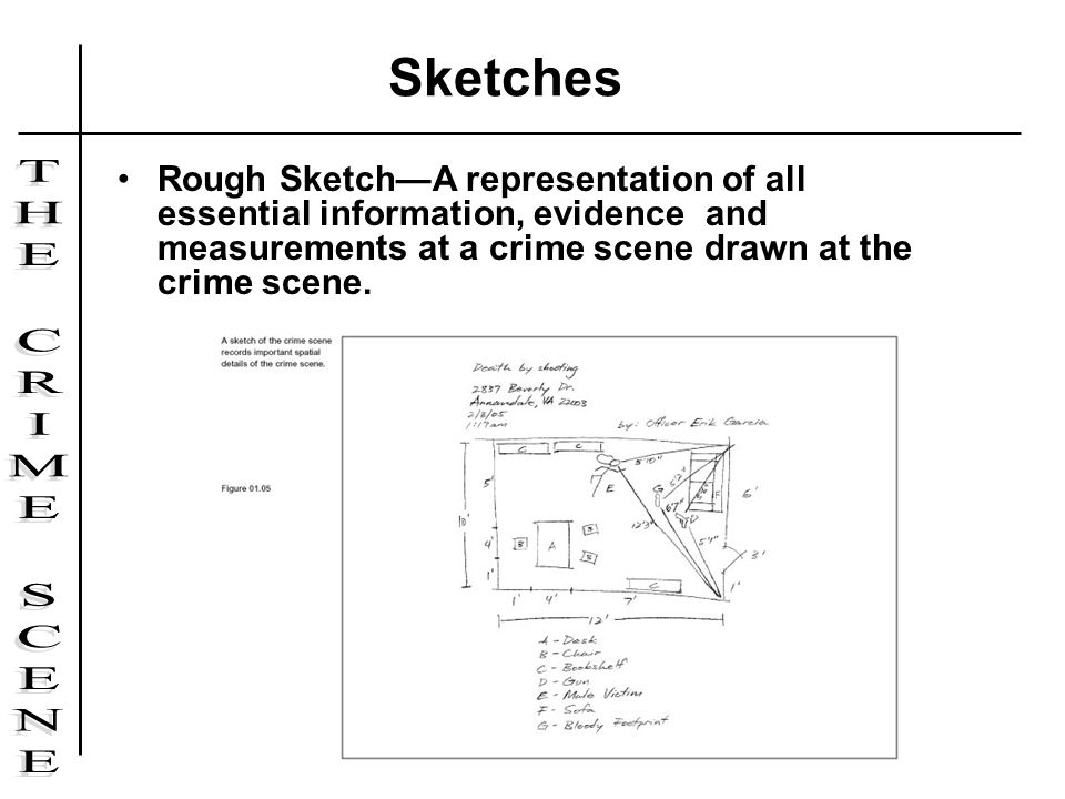 960x720 Investigating The Crime Scene - Rough Sketch Of Crime Scene