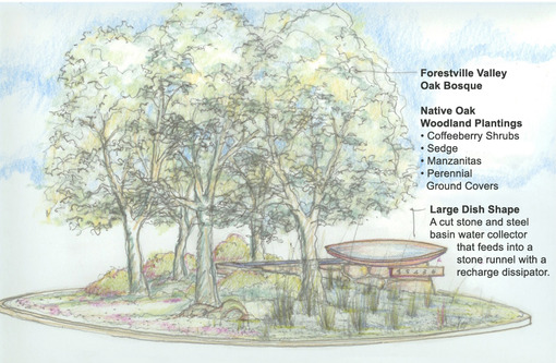 510x333 Forestville Planning Association - Roundabout Sketch