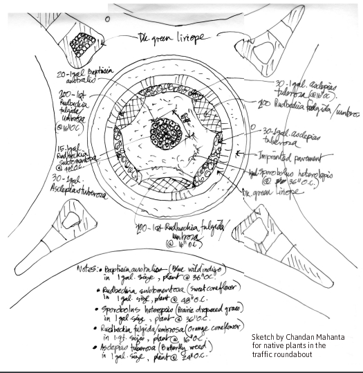 525x539 The Process Of Getting Native Plants In A Traffic Roundabout - Roundabout Sketch