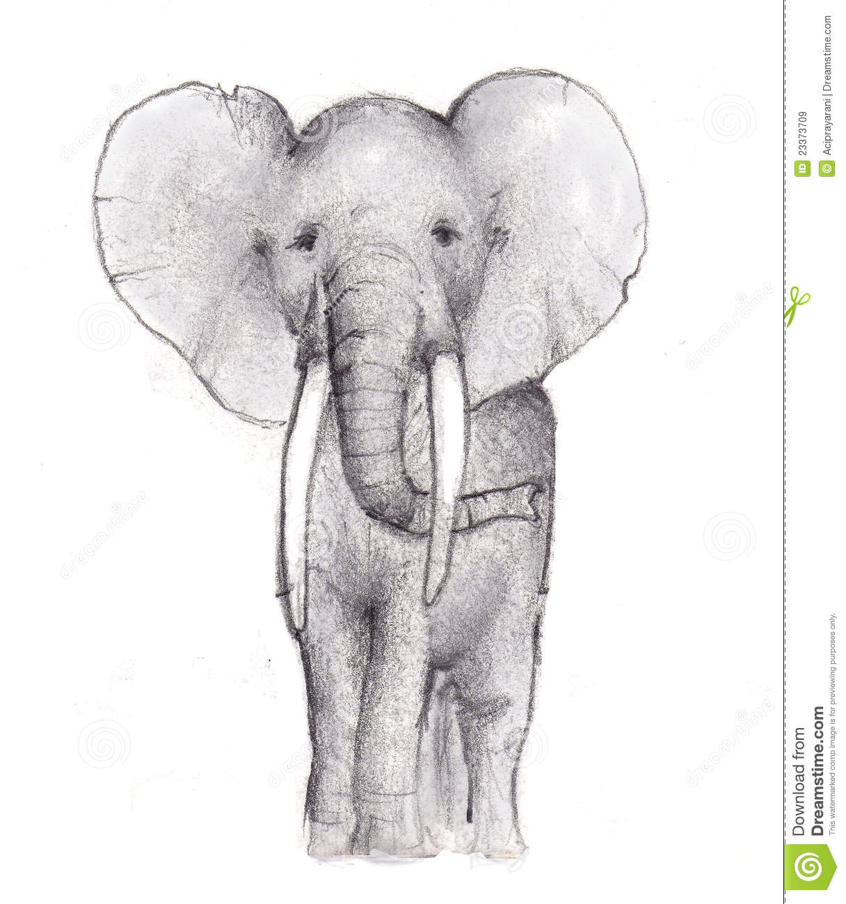 1216x1300 Pencil Sketches Of Elephants Elephant Pencil Sketch Royalty Free - Royalty Free Sketches