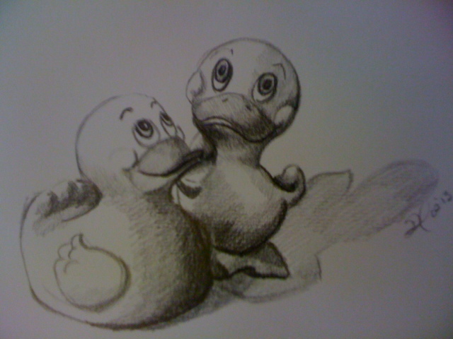 640x480 Rubber Duck Sketch - Rubber Duck Sketch