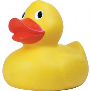 300x300 To Get The Most Out Of Your Investors, Turn Them Into Rubber Ducks - Rubber Duck Sketch