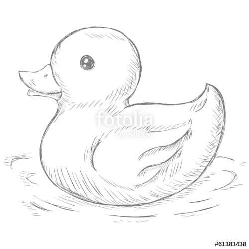 500x500 Vector Sketch Illustration - Rubber Duck Sketch