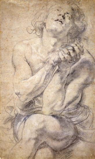 328x550 Seated Male Youth (Study For Daniel) Peter Paul Rubens The - Rubens Sketches