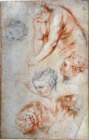 306x480 Magazine Features - Rubens Sketches