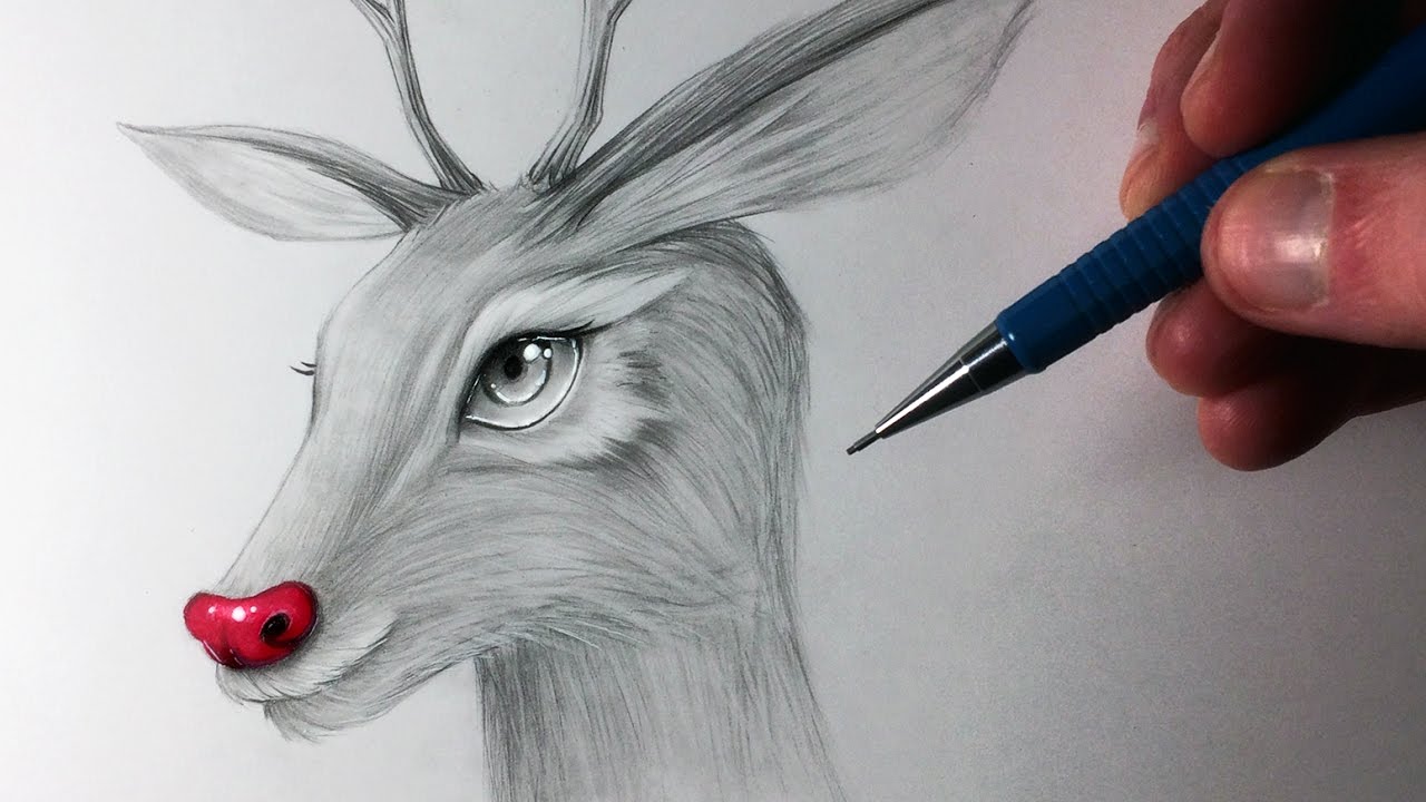 1280x720 How To Draw Rudolph - Rudolph Sketch