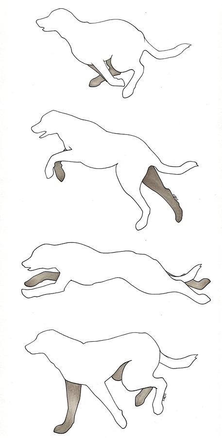 457x900 Gallery Drawings Of Dogs Running, - Running Dog Sketch