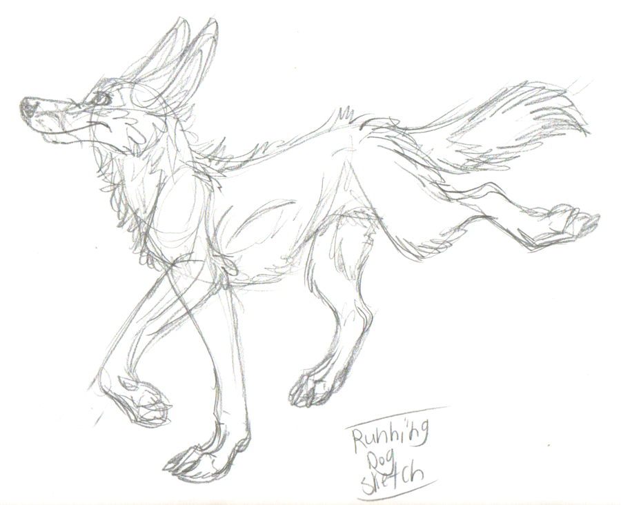 900x732 Running Dog Sketch By Hawaiifan - Running Dog Sketch
