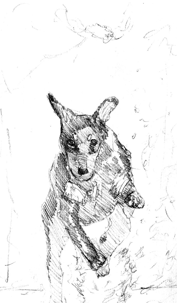 684x1167 Running Dog Sketch By Talatsu - Running Dog Sketch