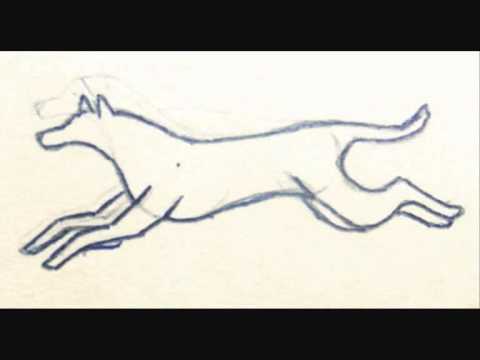 480x360 Running Dog Animation 2 - Running Dog Sketch